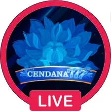 Aplikasi cendana777 Terbaru dengan Fitur Terbaik
